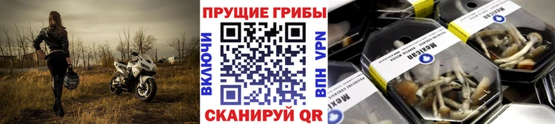 Псилоцибиновые грибы MAGIC MUSHROOMS  Константиновск 