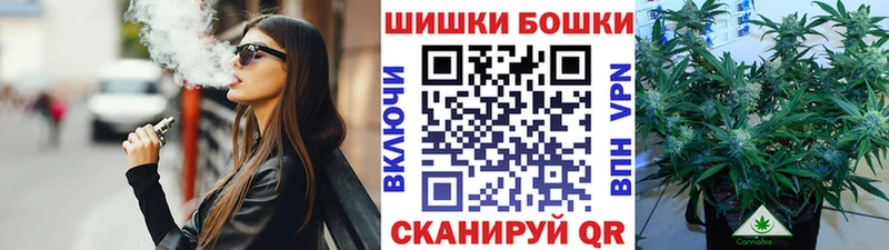 mega онион  купить наркотики сайты  Константиновск  Бошки марихуана план 